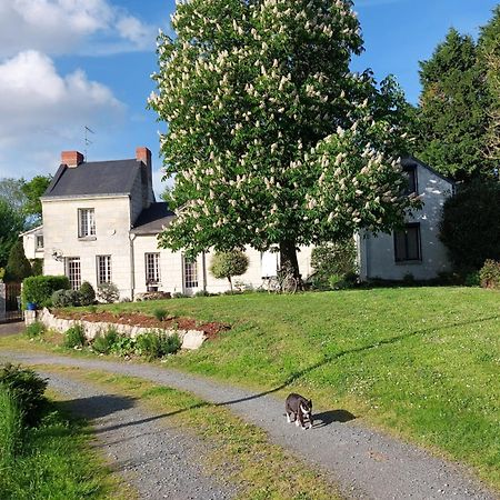 Chambres D'Hotes De L'Ile Du Saule Saumur Exterior photo